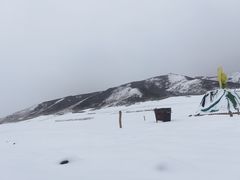 -扁都口生态休闲旅游区