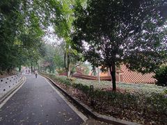 -岳麓山风景名胜区