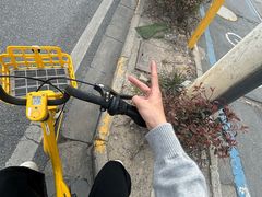 -武汉长江大桥