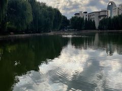 -团结湖公园