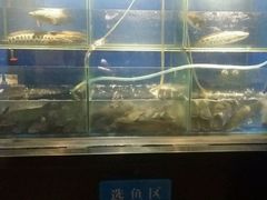 -鱼酷活鱼烤鱼(沈阳大悦城店)