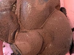 -麦萌の胖子(西红门荟聚店)
