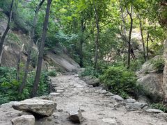 -大岭沟猕猴桃谷风景区
