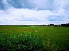 -库伦旗银沙湾旅游景区