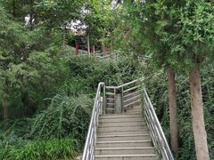 -黄村公园