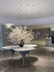 -广州美莱医疗美容医院