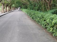 -大湾区中央湿地公园