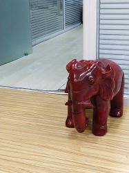 -维纳斯专业减肥