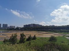-立新湖公园