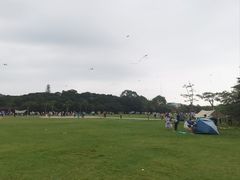 -大屏嶂森林公园