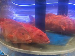 -新海渔港·胶东海鲜家常菜·家宴(奥体中心店)