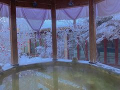 -汉拿山温泉度假酒店