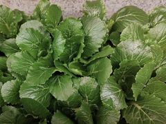 -番食园鲜食火锅(高新店)