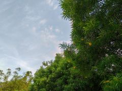 -南国桃园旅游度假区