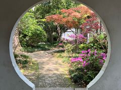 -上海醉白池公园
