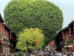 -三坊七巷历史文化街区