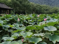 -兰亭风景区