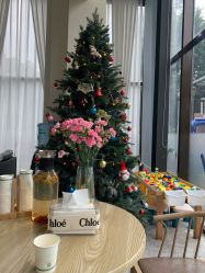 -加帕瑜伽培训学院