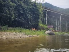 -志闽龙门漂流
