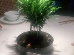 -初蓉丨遇见新川菜(亲贤街荣耀店)