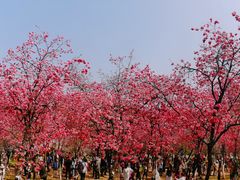 -昆明动物园