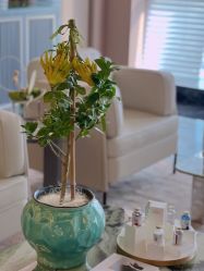 -蘭FACE·海菲秀飞顿Med SPA