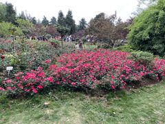 -花溪公园