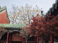 -延庆观