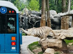 -北京野生动物园