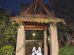 -郑州银基黄帝宫御温泉