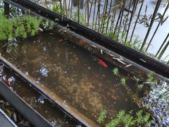 -箱美术馆私房菜(水晶郦城店)