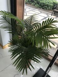 -久匠半永久纹眉