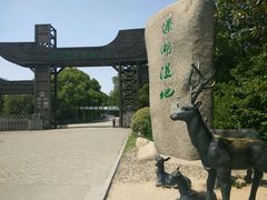 景点-溱湖国家湿地公园