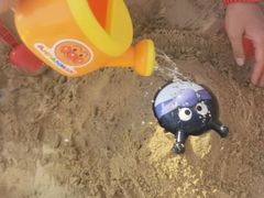 -上海东方佘山翰悦阁酒店·Vie全日制餐厅