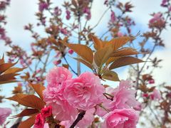 -龙美术馆(西岸馆)