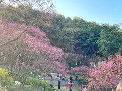 -重庆彩云湖湿地公园