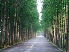 -滨海高尔夫俱乐部