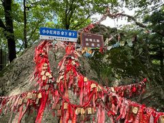 -陕西省红河谷森林公园