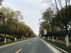 -上海崇明金茂凯悦酒店