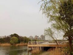 -新江湾城公园