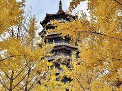 -金城公园