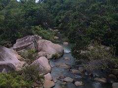 -海南热带雨林国家公园吊罗山景区