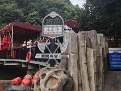 -将军关探险漂流