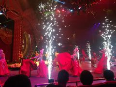 -珠海横琴长隆《卡卡虎奇遇记》