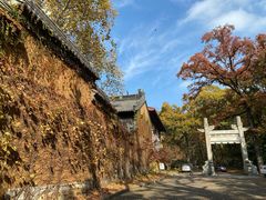 -灵谷景区