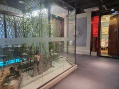-大富贵(旗舰店)