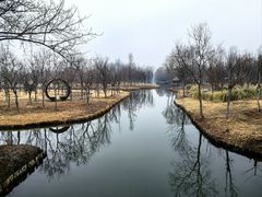 -溱湖国家湿地公园