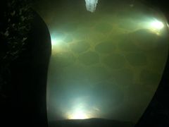 -溧阳天目湖天沐温泉