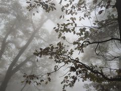 -终南山南五台景区