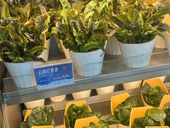 -海底捞大排档火锅(打浦路店)